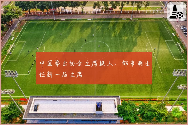 中国拳击协会主席换人，邹市明出任新一届主席