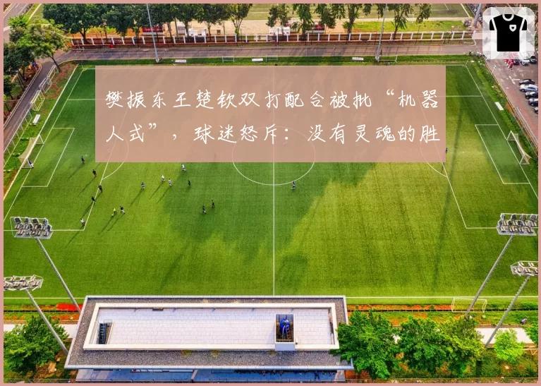 樊振东王楚钦双打配合被批“机器人式”,球迷怒斥:没有灵魂的胜利