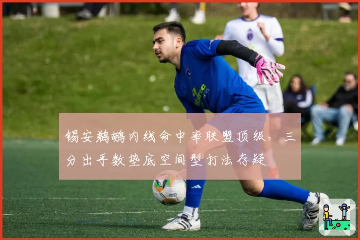锡安鹈鹕内线命中率联盟顶级，三分出手数垫底空间型打法存疑