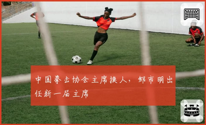 中国拳击协会主席换人，邹市明出任新一届主席